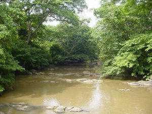 Osun-River
